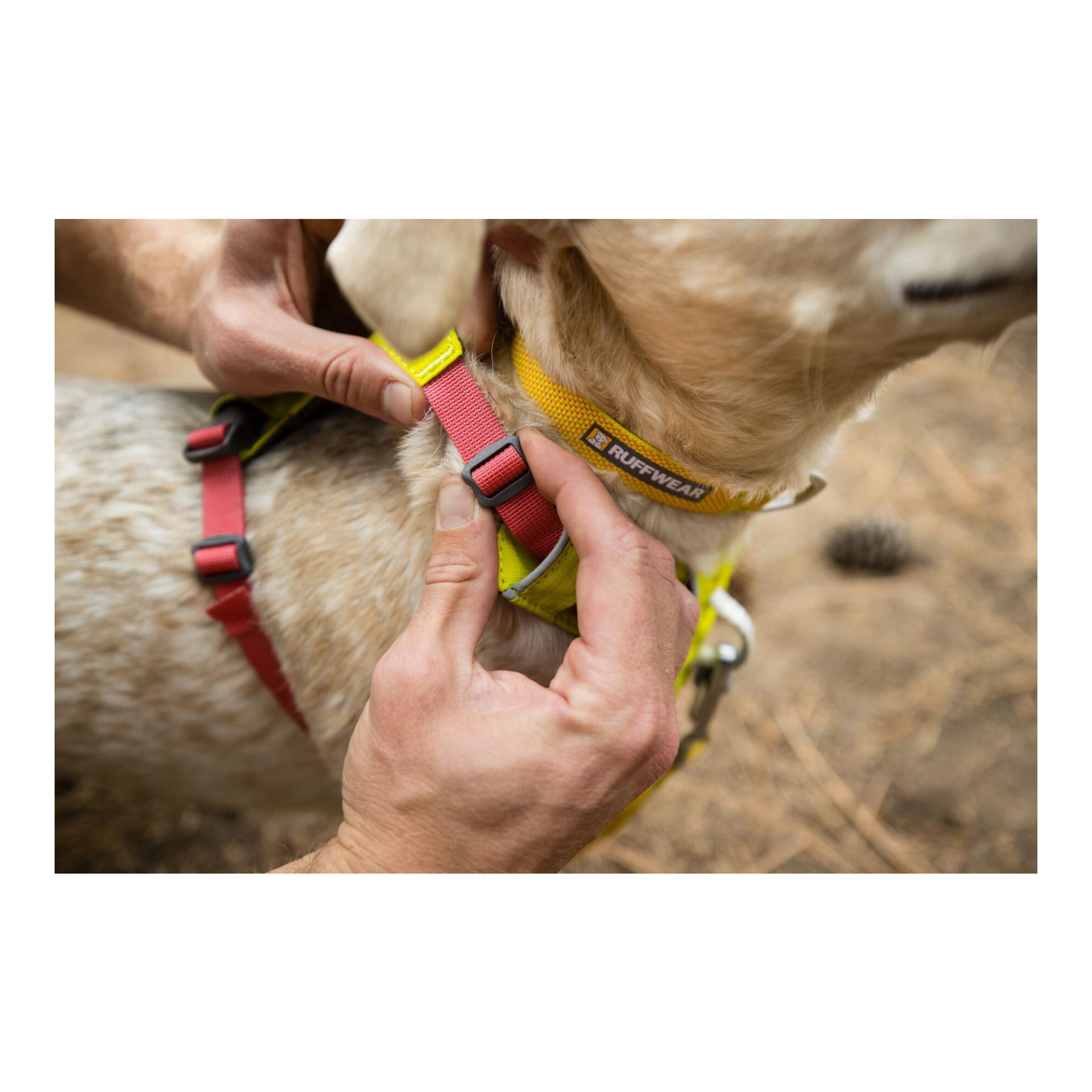 Hi & Light™ Geschirr