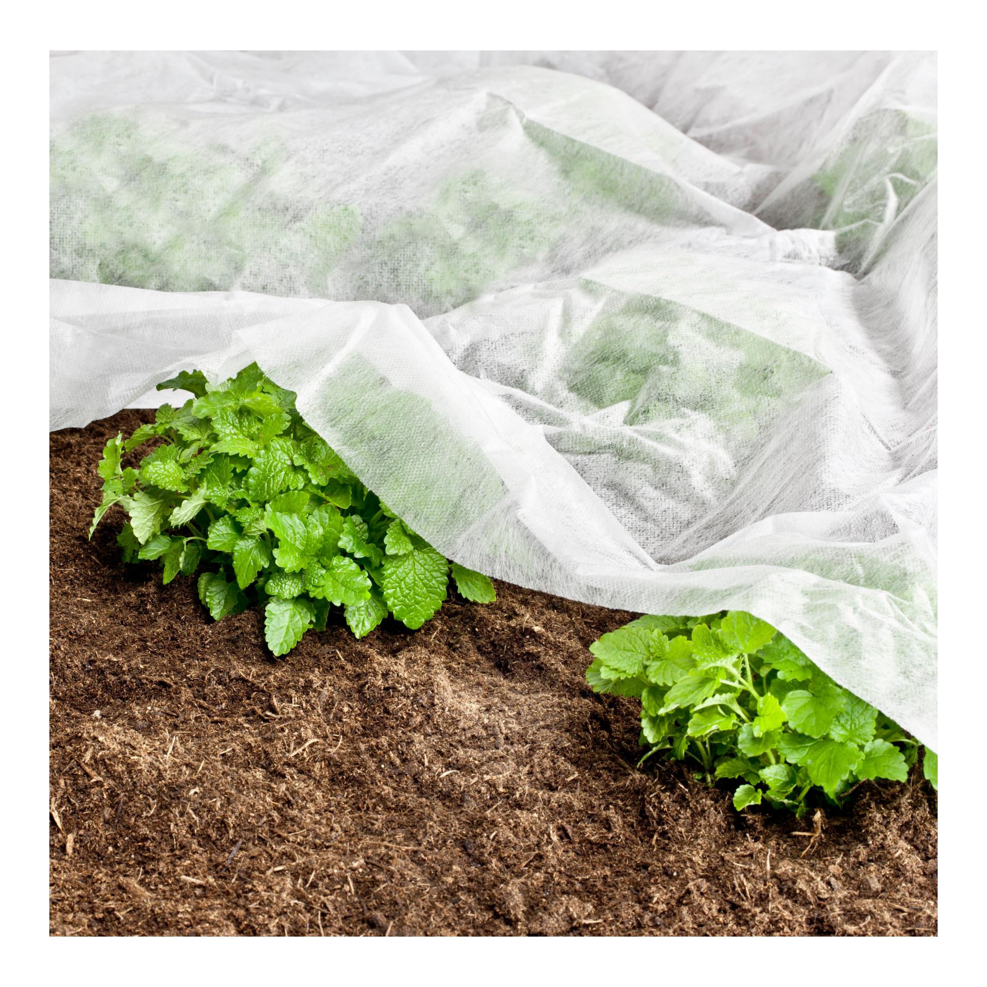 Matériau non-tissé de jardin Standard