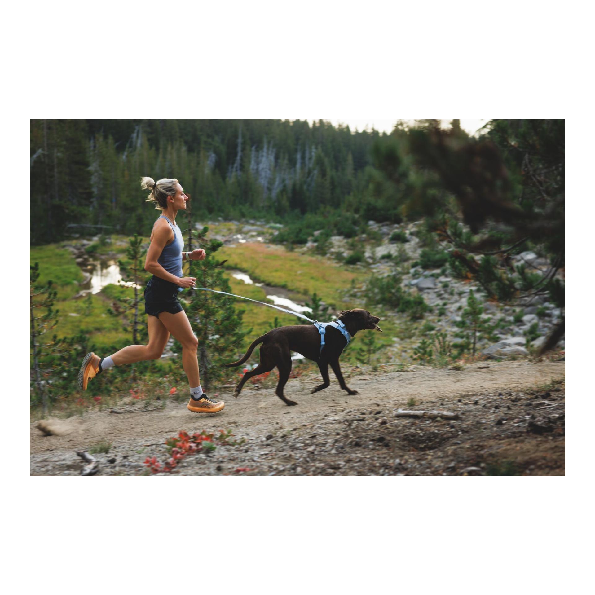 Ruffwear Front Range® Flex Hundegeschirr