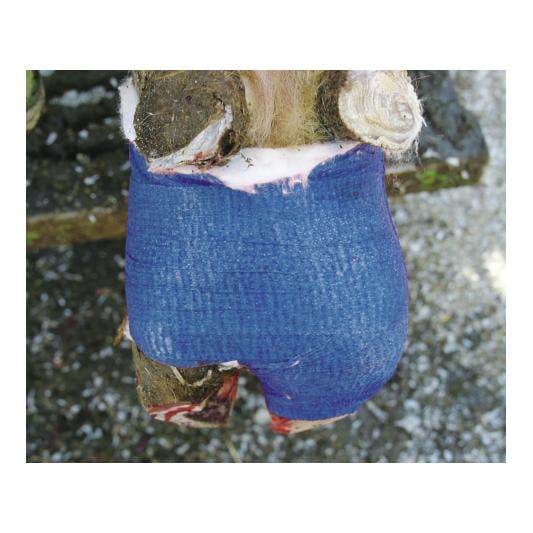 Klauenbandage VETlastic - grün