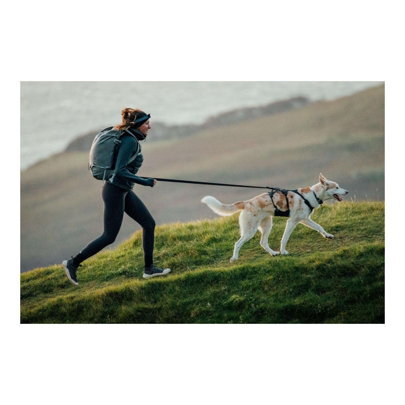 Ruffwear Ridgeline™ Hundehalsband