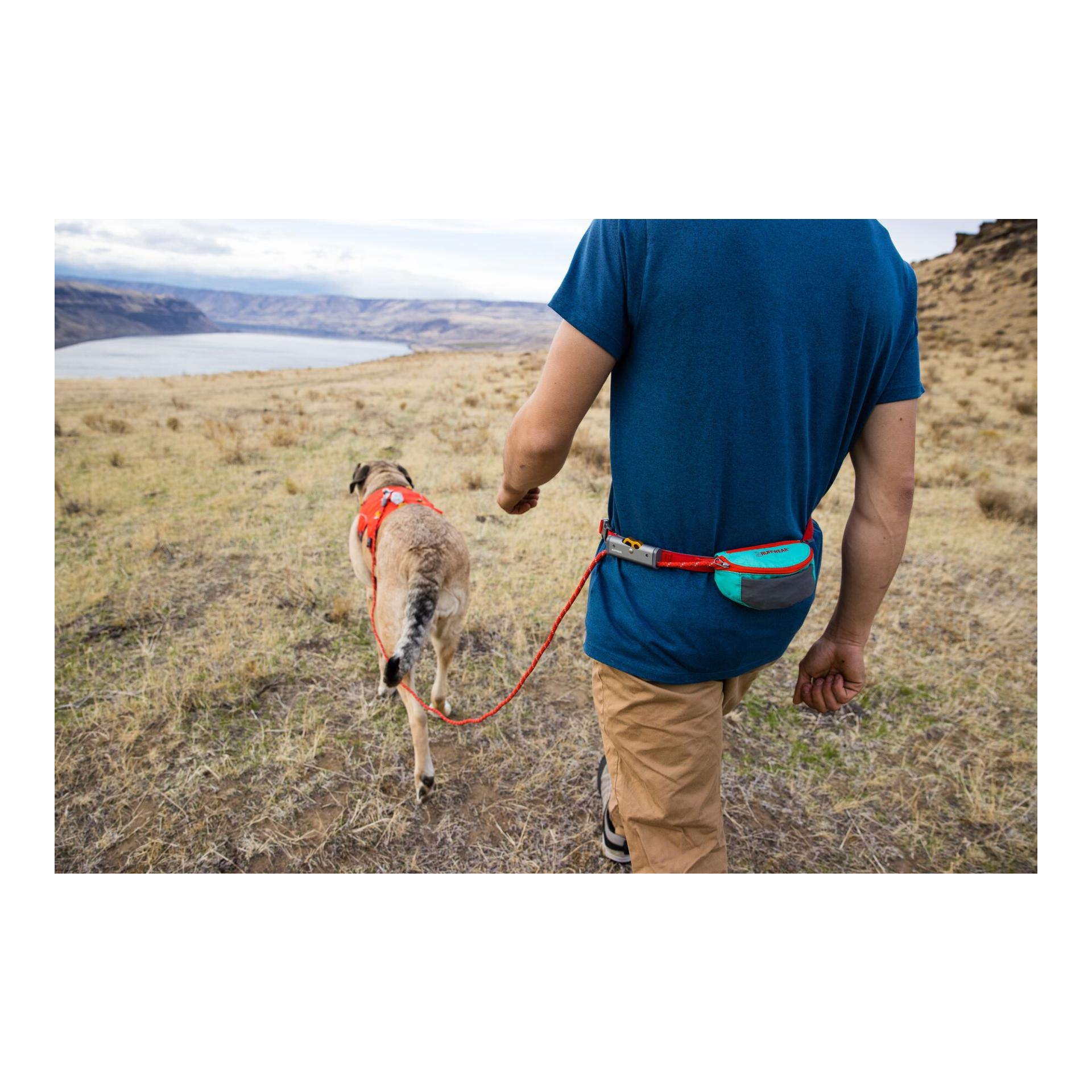 Hitch Hiker™ Leine