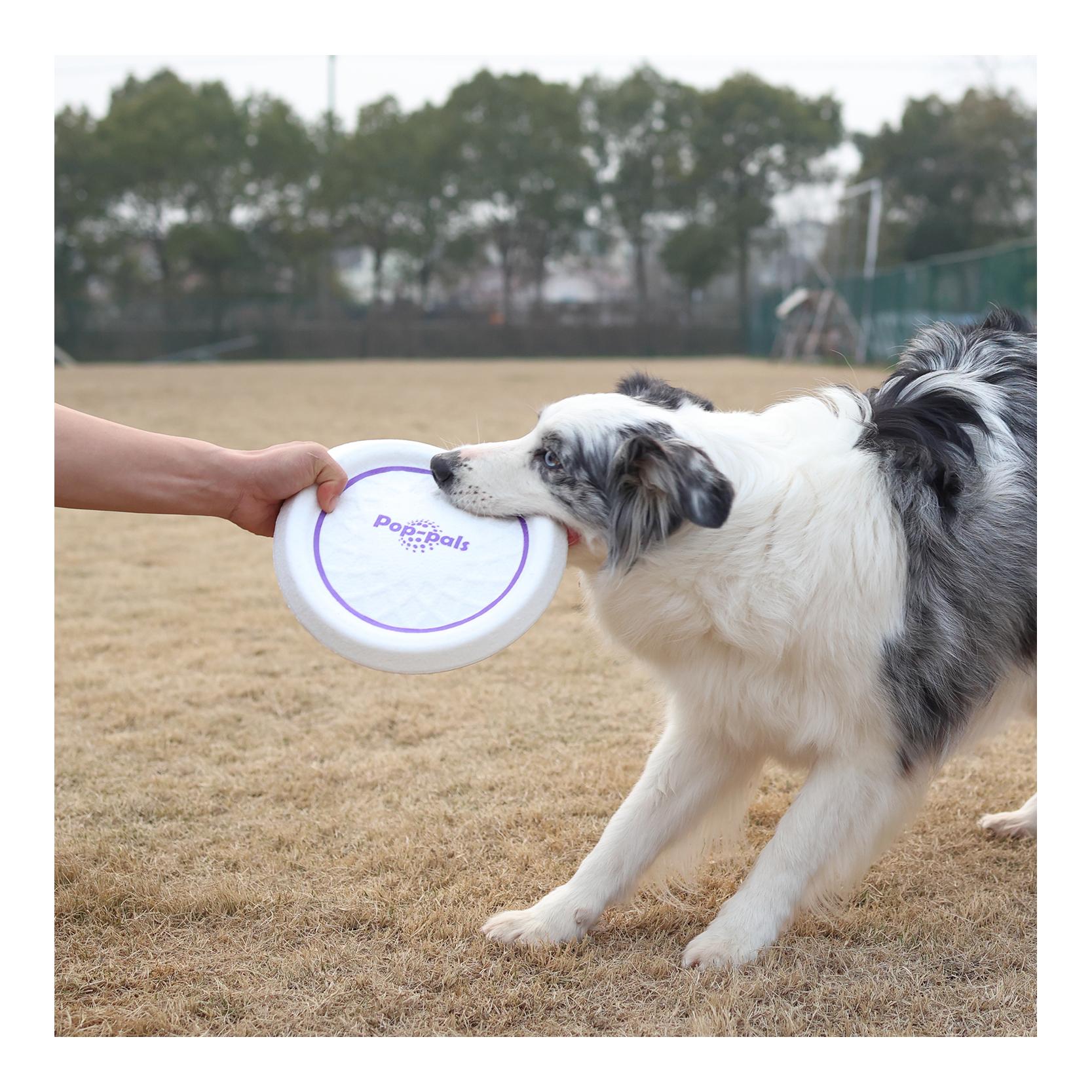 Bounce Pop Pal Frisbee