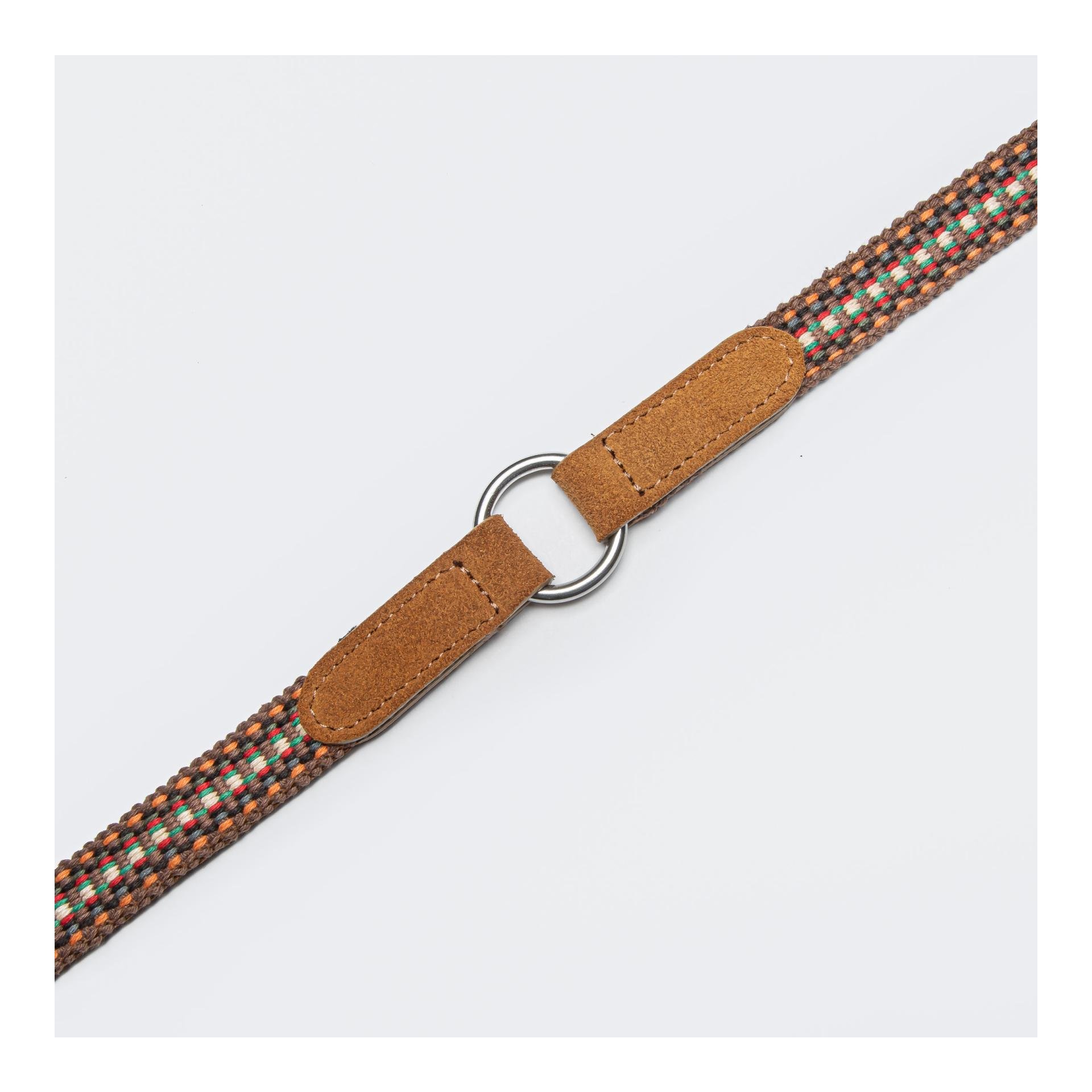 Hundeleine Prater - sunset