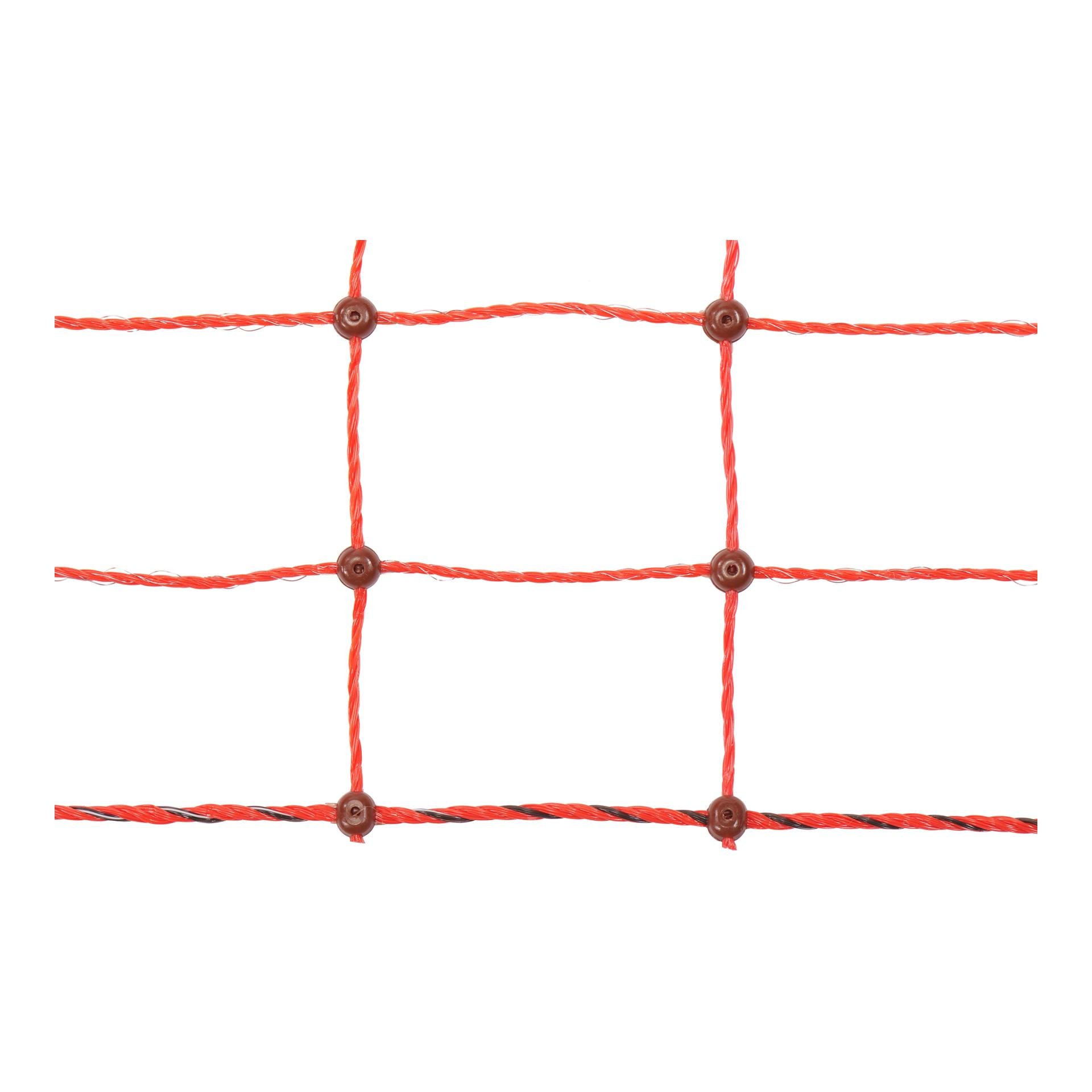 Geflügelnetz - Einzelspitz