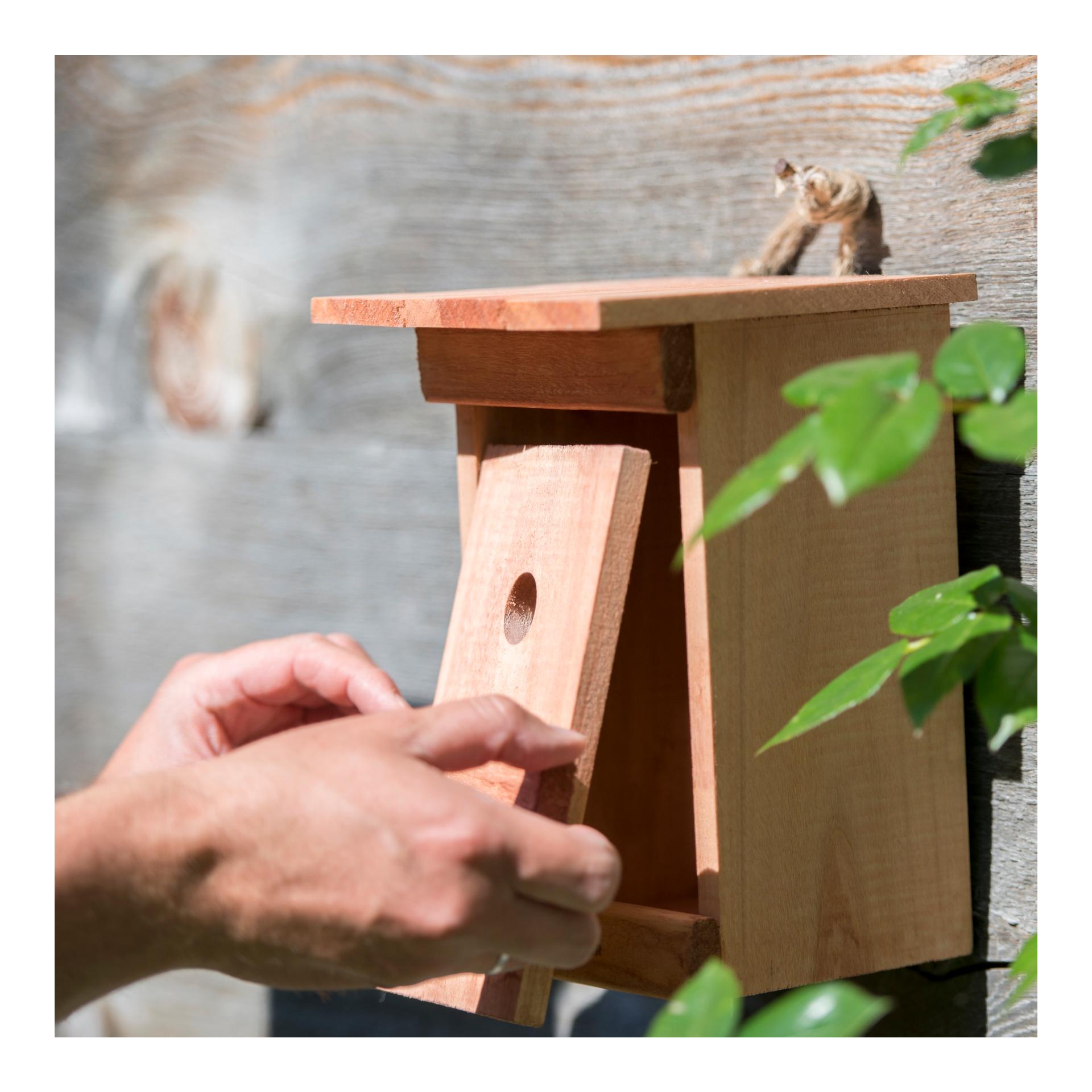 Nistkasten Birdy - natur