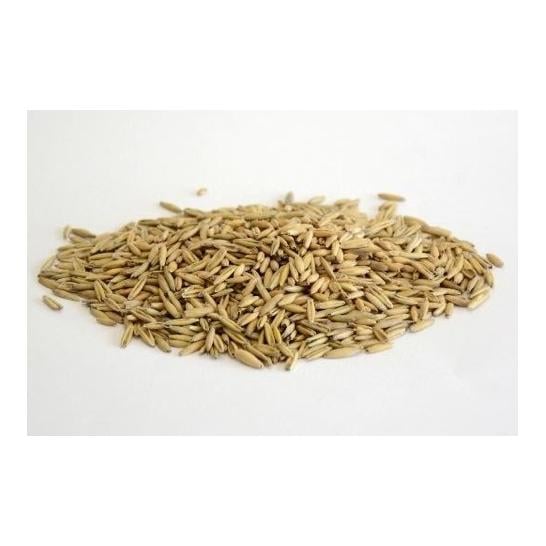 Mühle Rytz Bio Hafer ganz