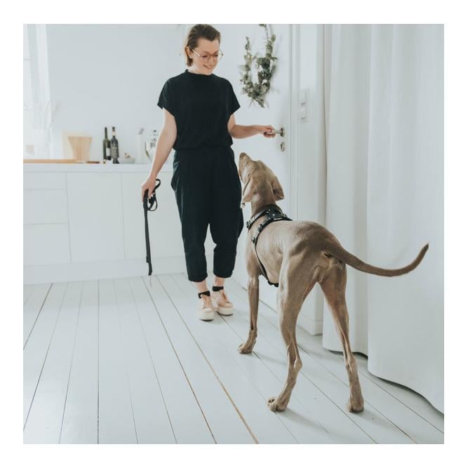 Harnais Aalborg - cuir/noir