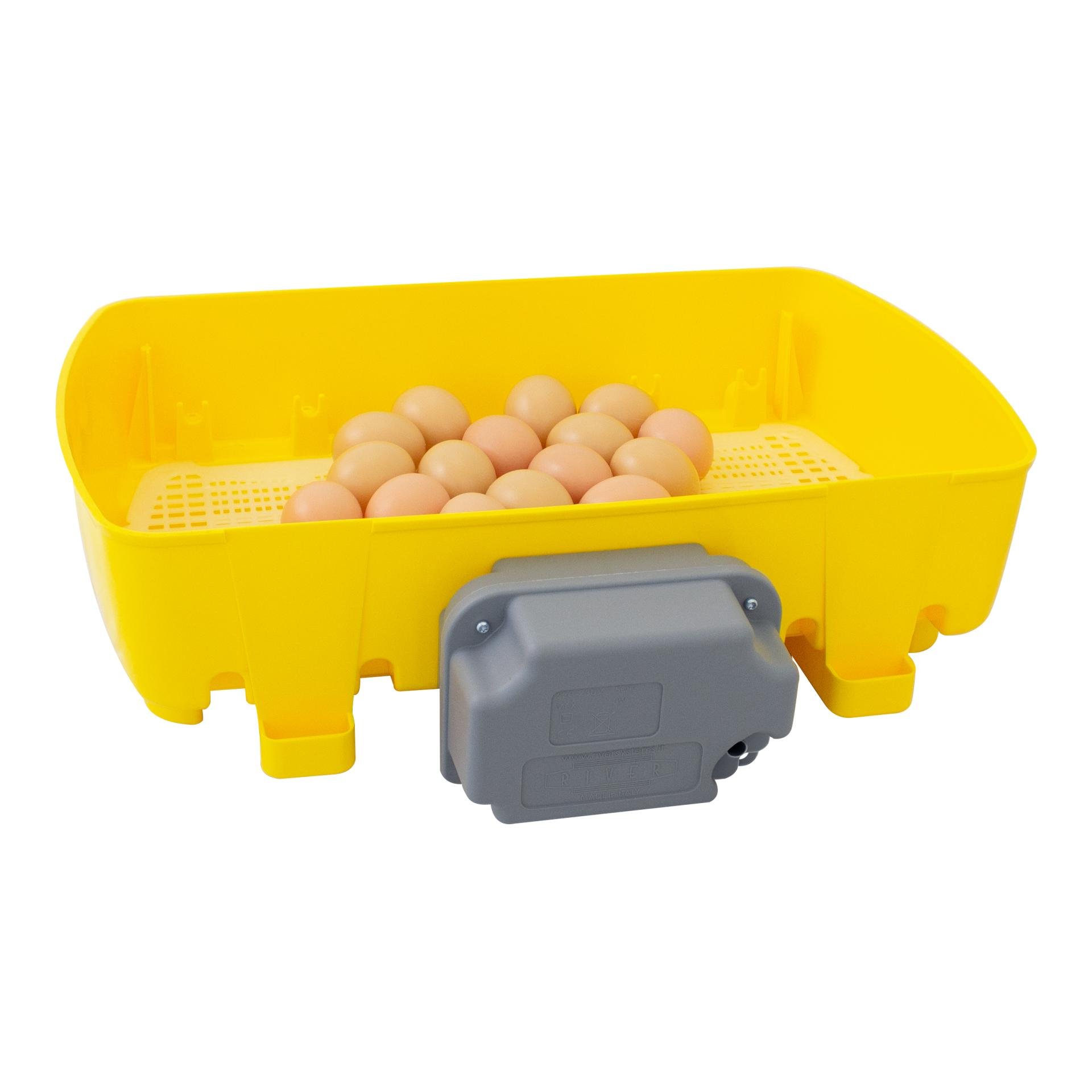 Automatische Brutmaschine für Eier ET24 Biomaster mit Eierwender