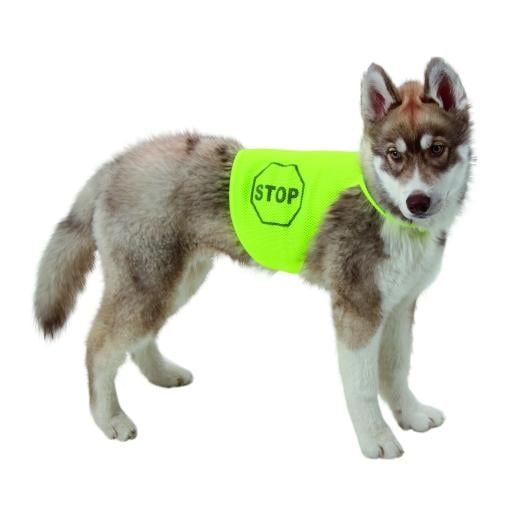 Image of Kerbl Sicherheitsweste MAXI SAFE reflektierend - gelb bei Hauptner.ch