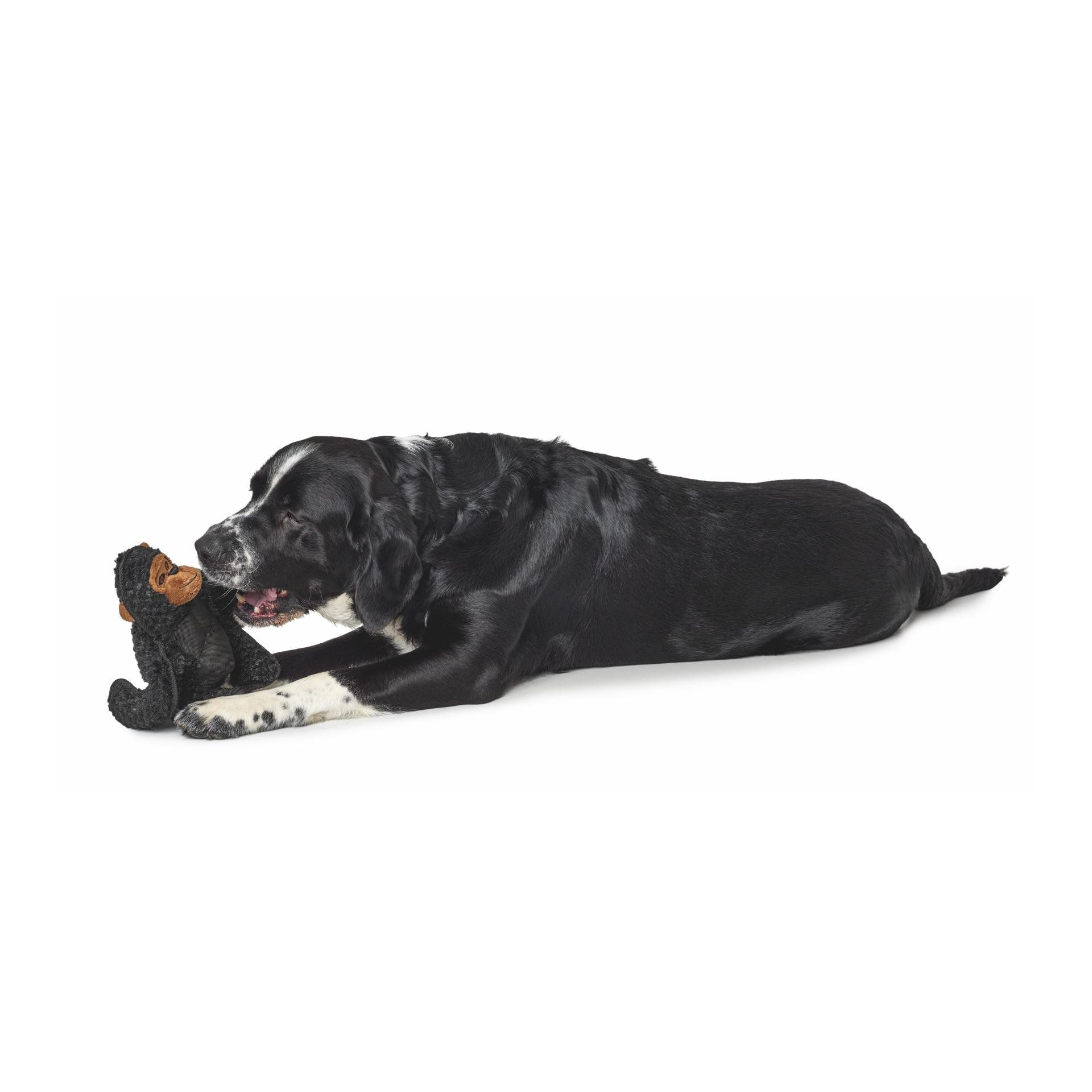 Jouet pour chien Tough Kamerun