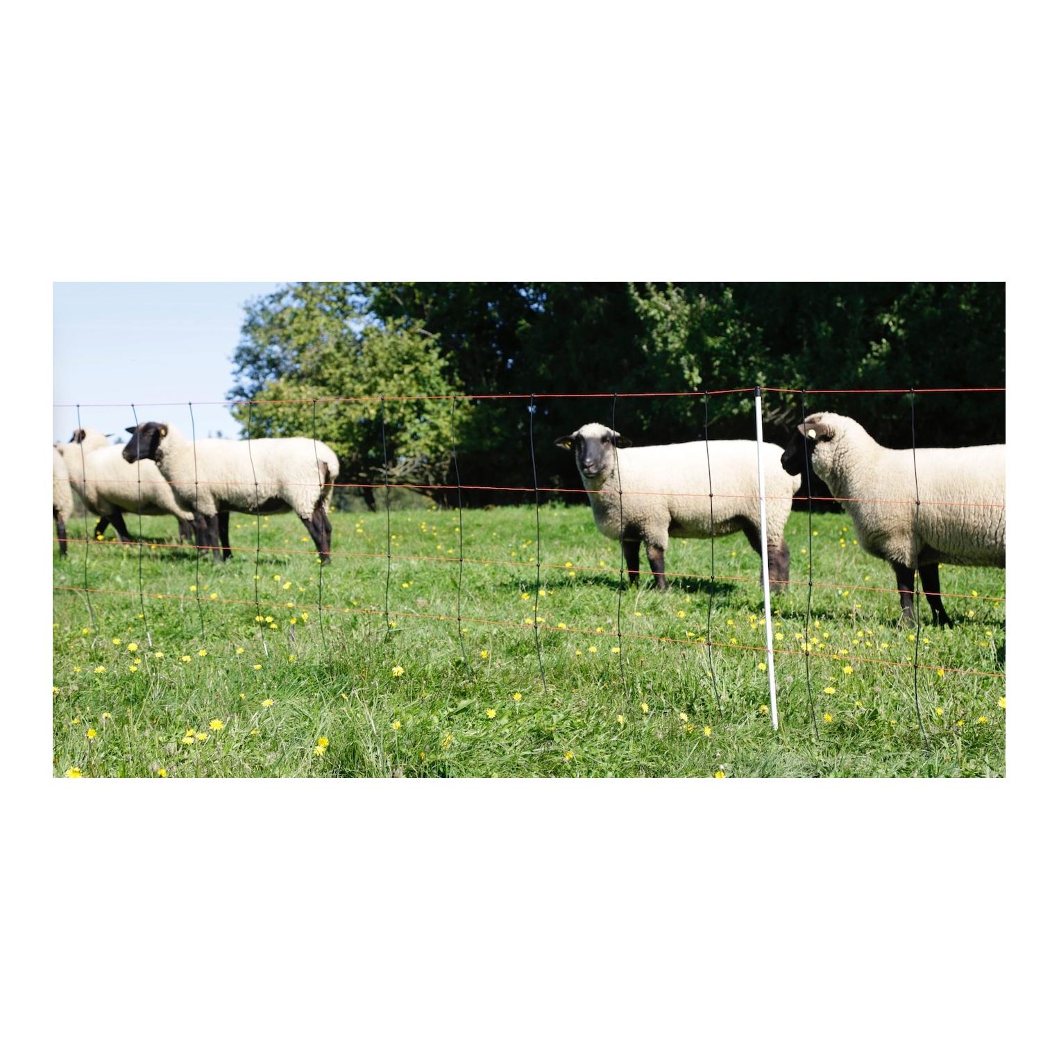 Weidenetz TitanLight Net - Einzelspitz