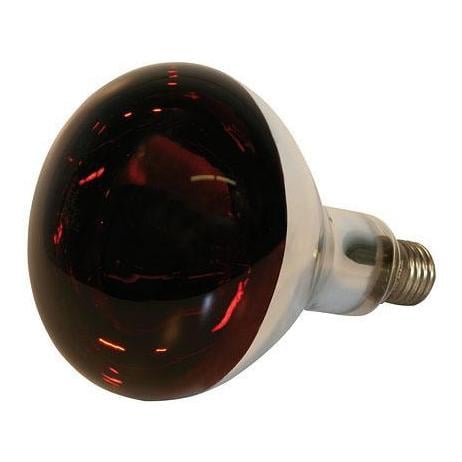 Image of Kerbl Hartglas-Infrarotlampe - rot bei Hauptner.ch