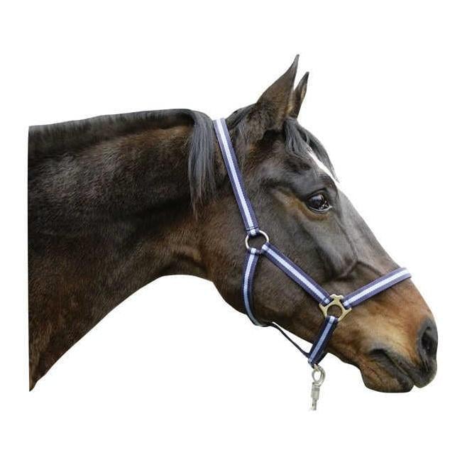 Nylonhalfter Hippo - marine/hellblau