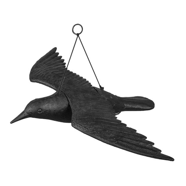 Vogelabwehr - Rabe fliegend