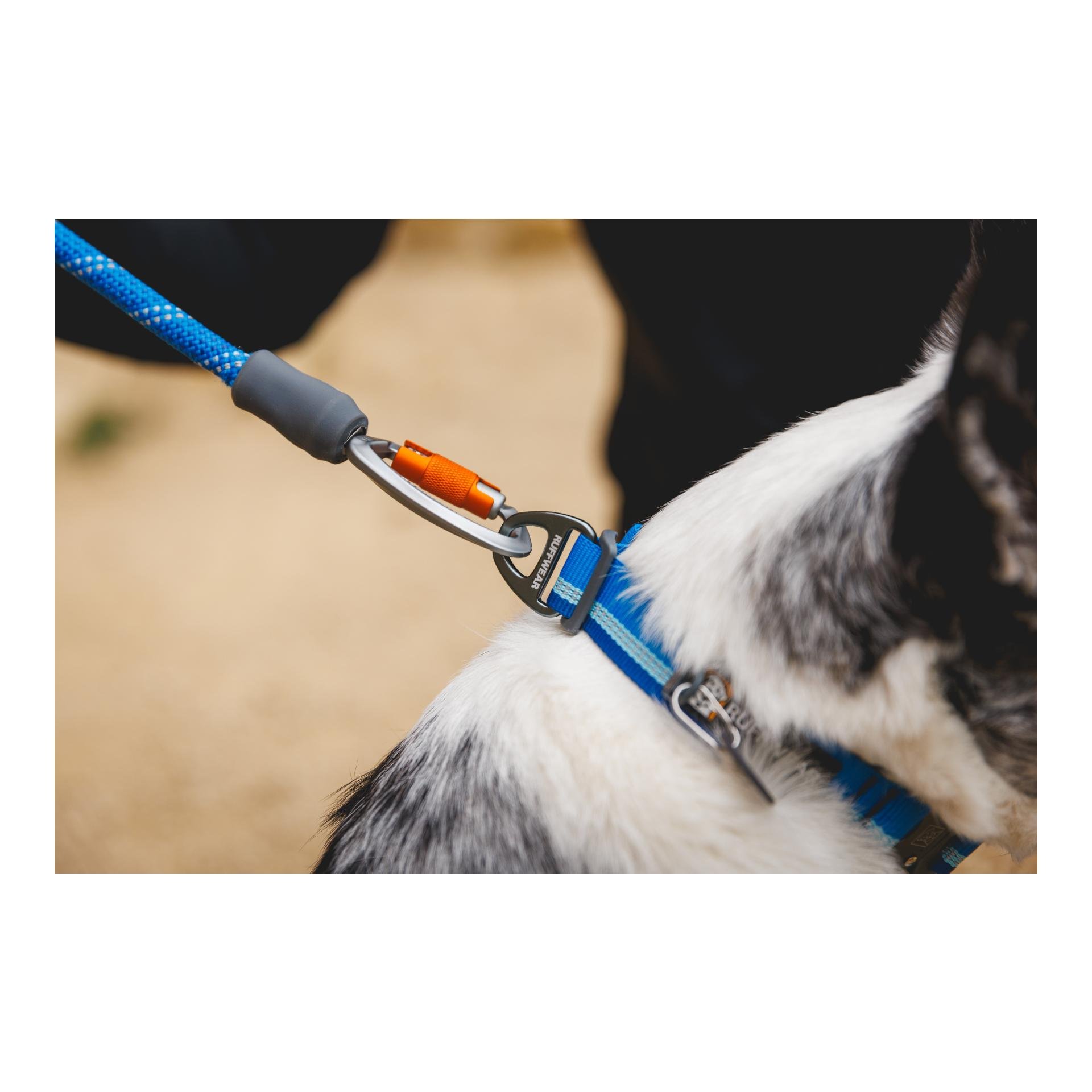 Laisse pour chien Knot-a-Leash