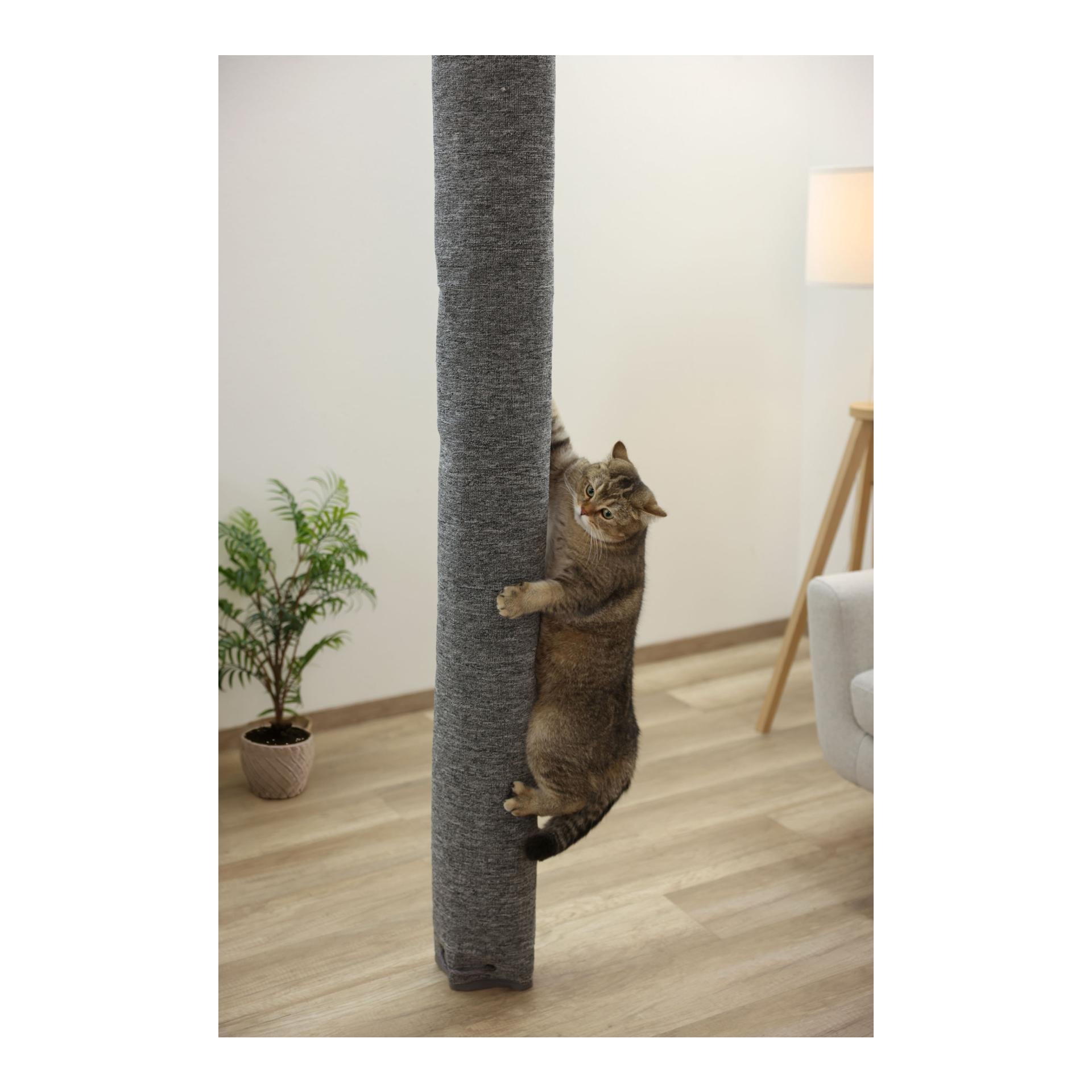 Klettersack Carpet, f. Katzen