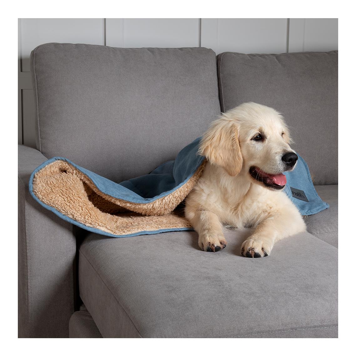 Kuscheldecke für Hunde