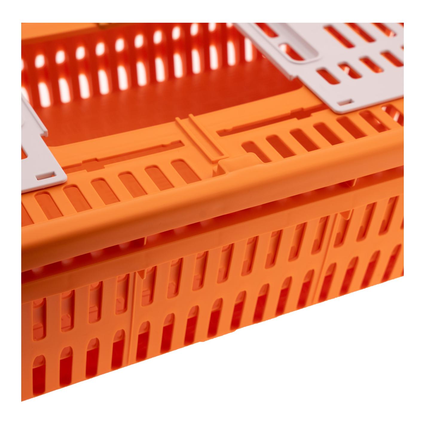 Olba Transportbox für Wachteln/Tauben