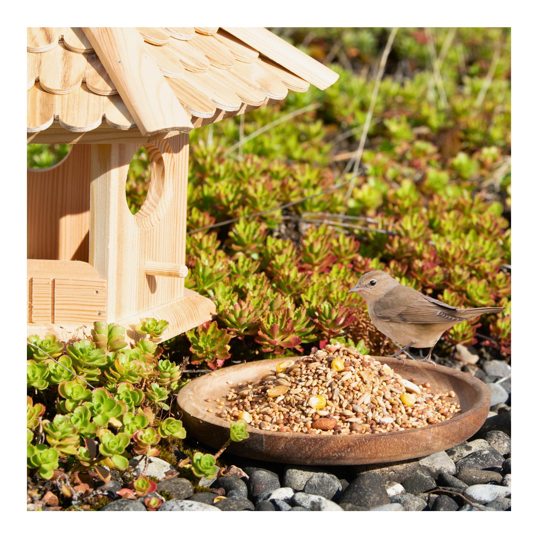 Streufutter schalenfrei