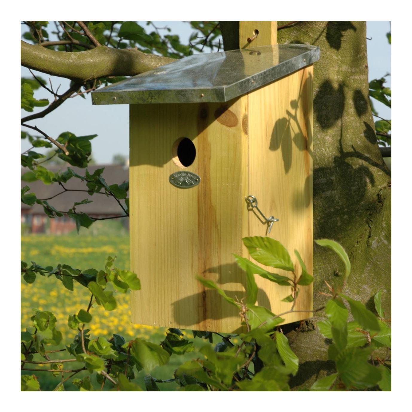Beobachtungsnistkasten