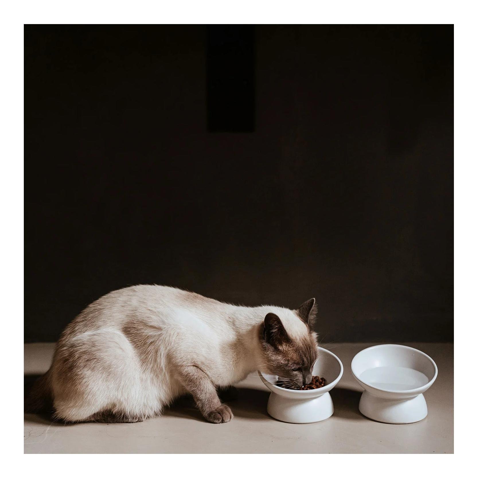 Keramik-Katzennapf Langa