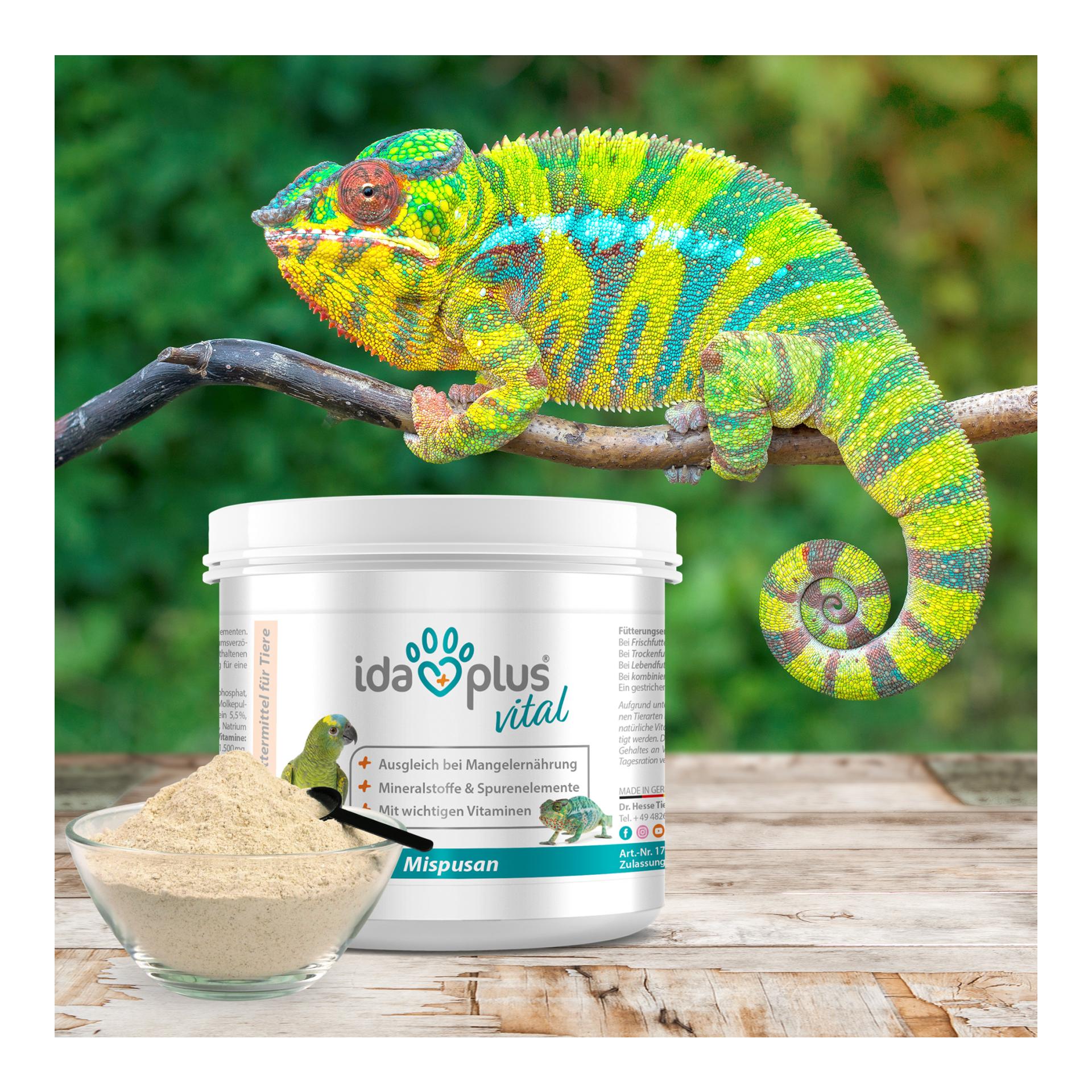 Mispusan - Mineralfuttermittel für Amphibien, Reptilien & Vögel