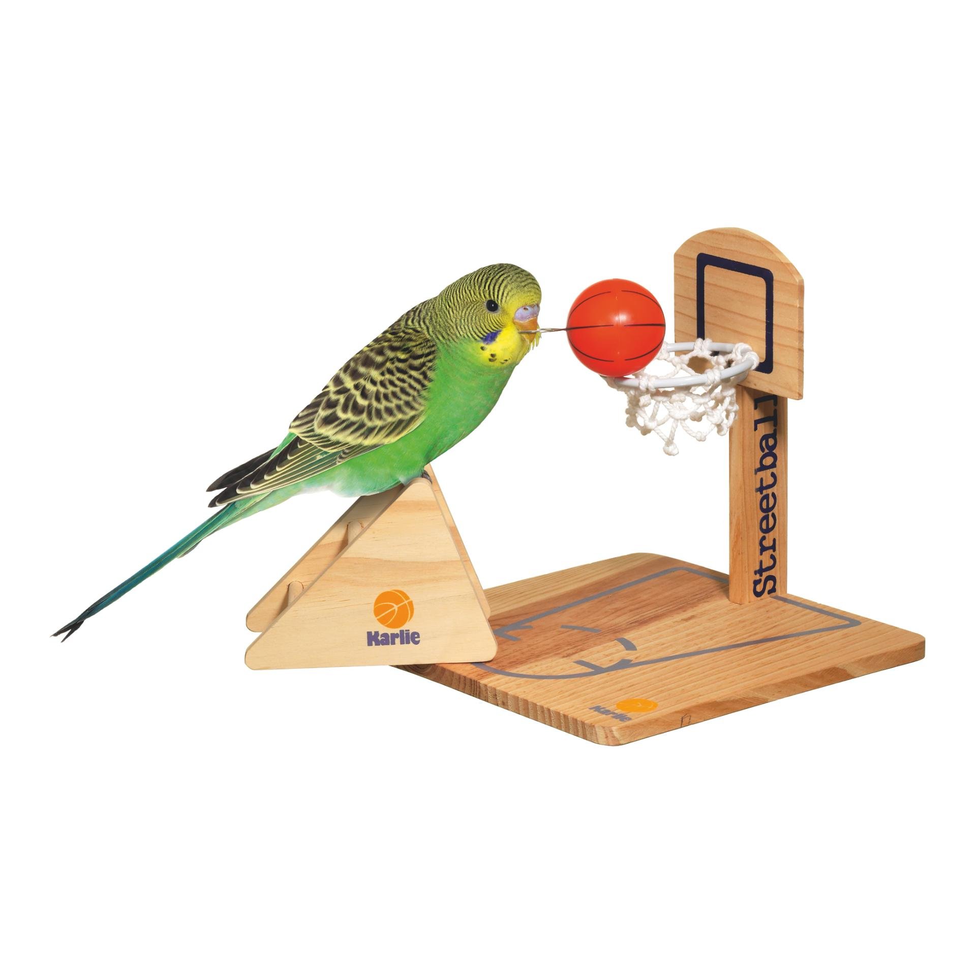 Streetball Vogelspielzeug