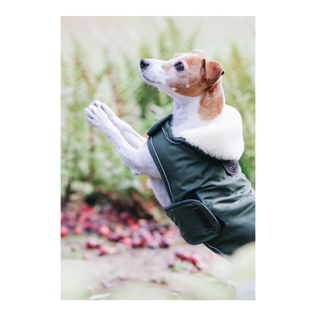 Hundemantel wasserdicht 300g - olive green