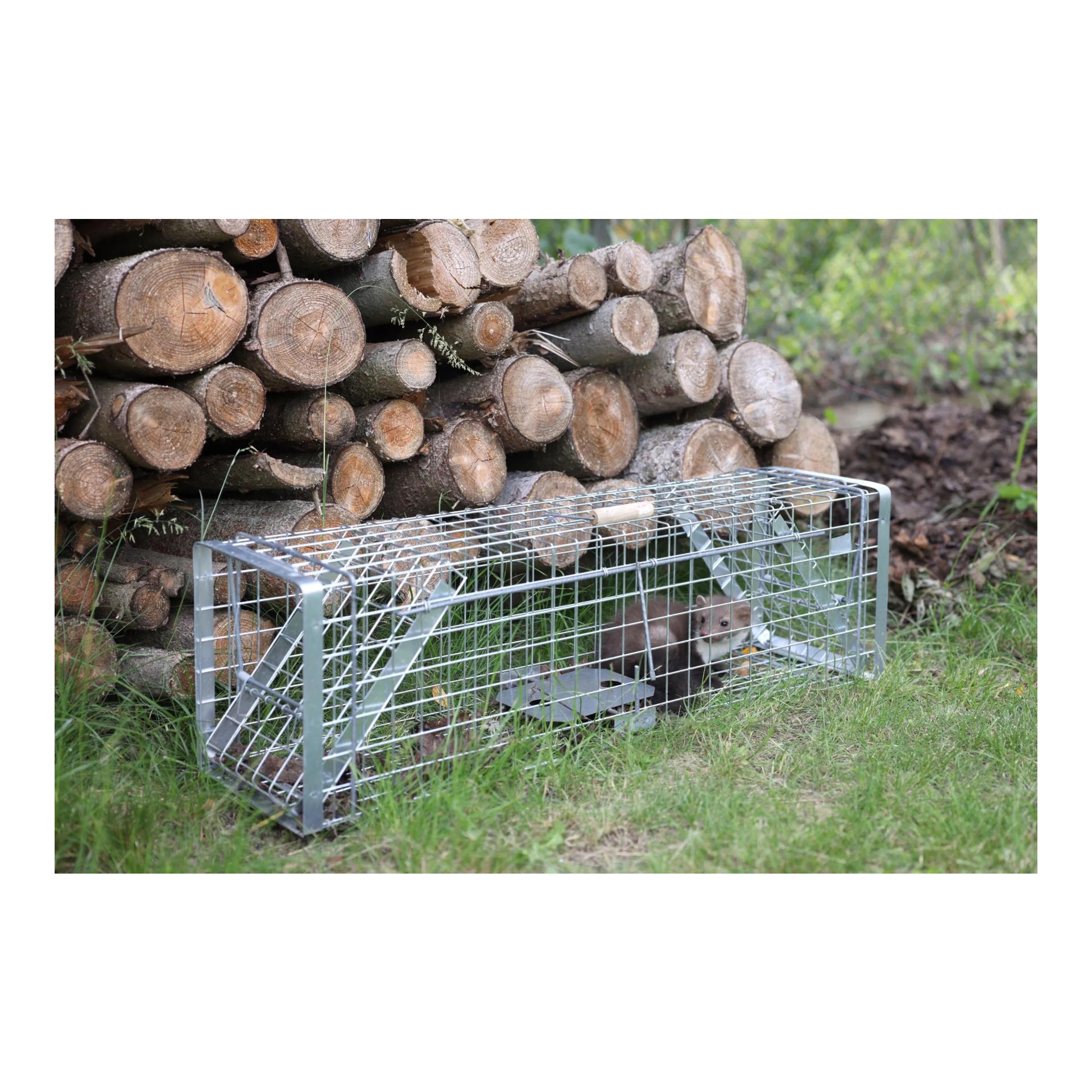 Kerbl Kastenfalle Alive Predator Super