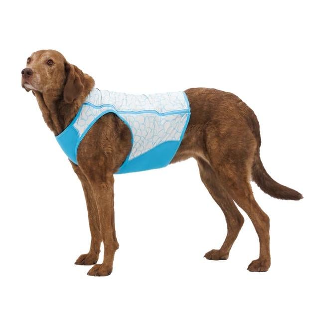 Kühlende Hundeweste Swamp Cooler Zip