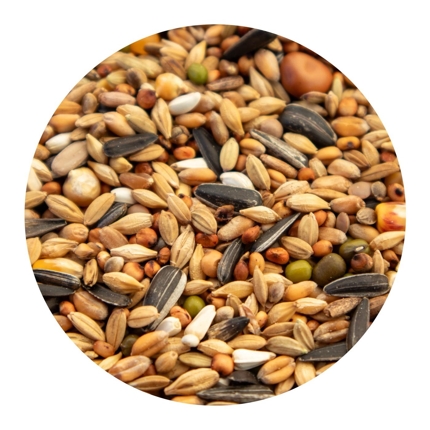 granovit Taubenfutter Körner