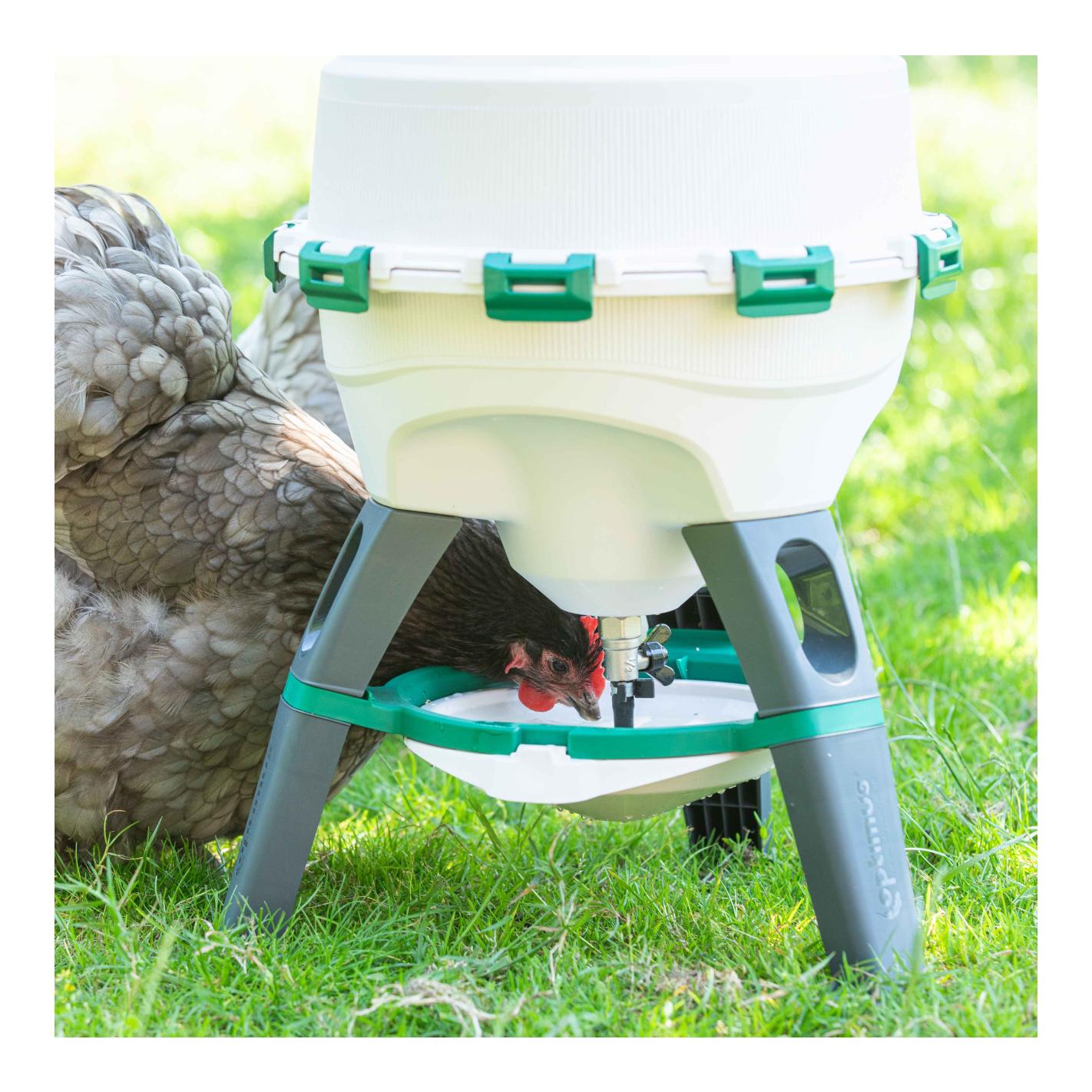 Tränkeautomat OPTIMUS