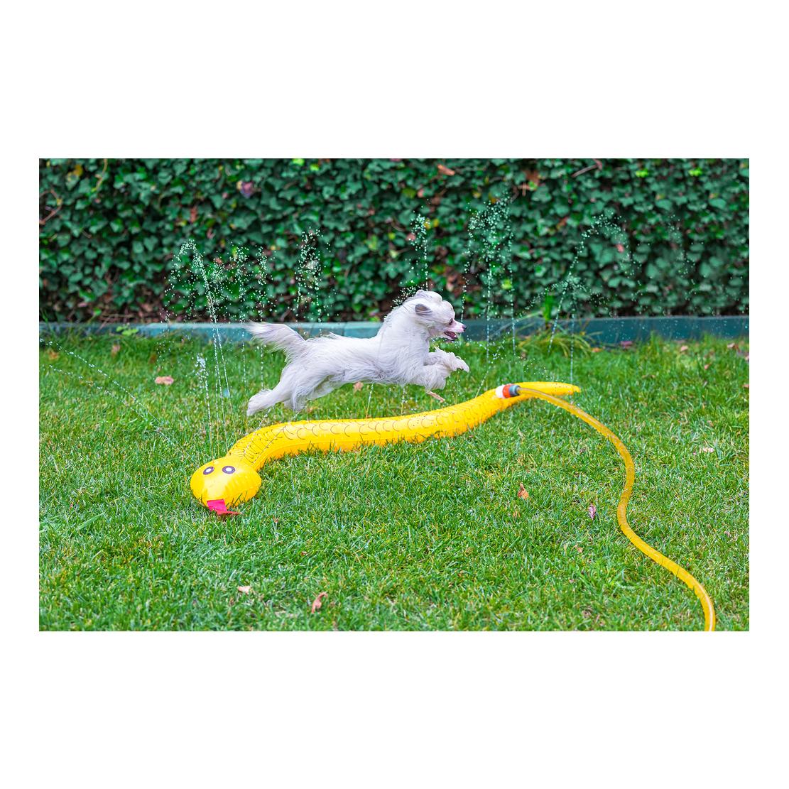 Wasserfontäne Splashy Schlange