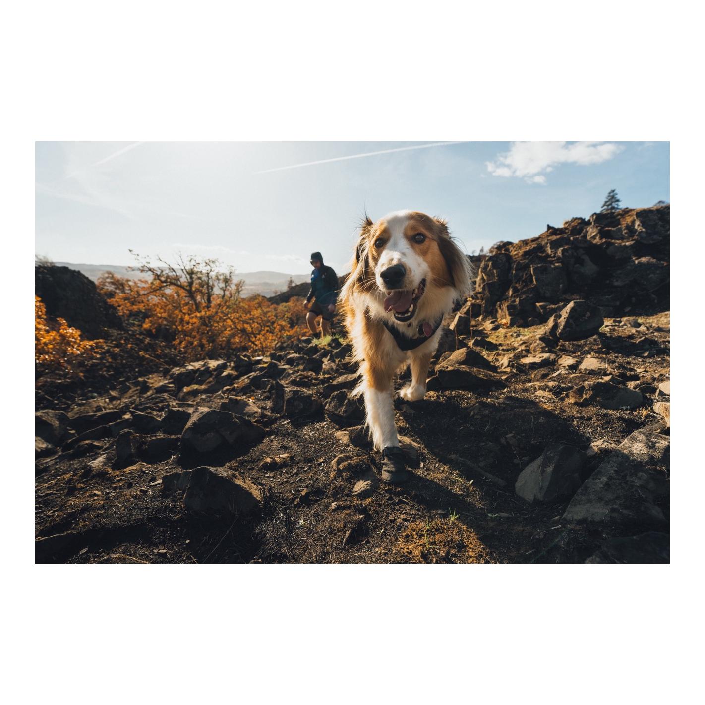 Ruffwear Ridgeline™ Hundeschuhe