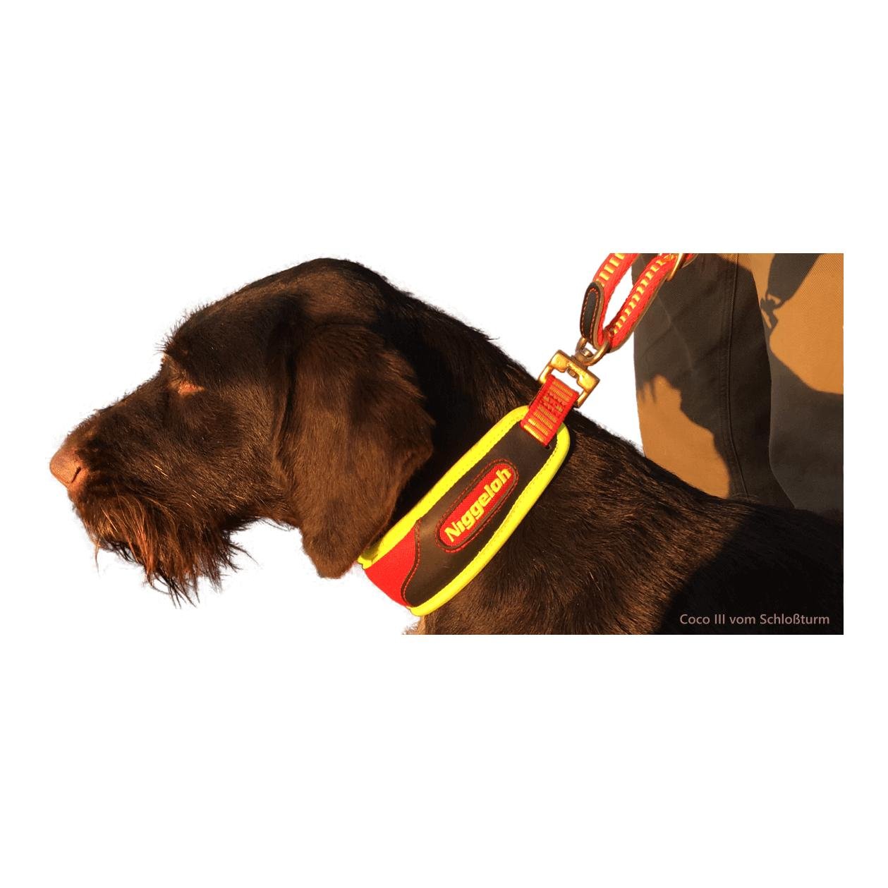 Schweisshalsung Trail