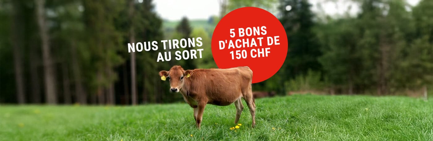 header-gewinnspiel-swissopen-FR