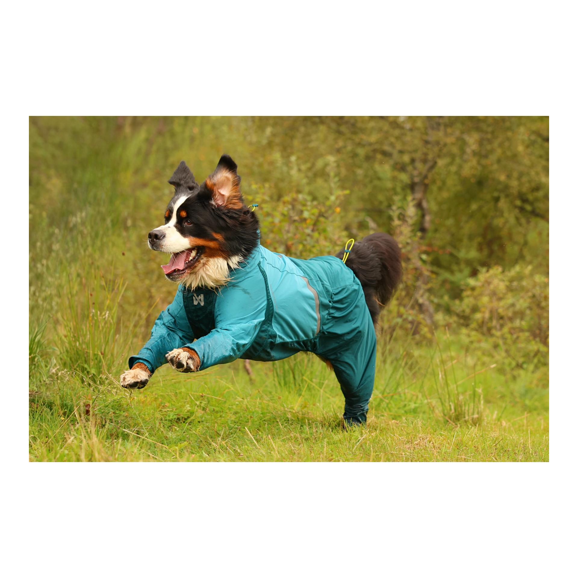 Fjord overall Regenmantel