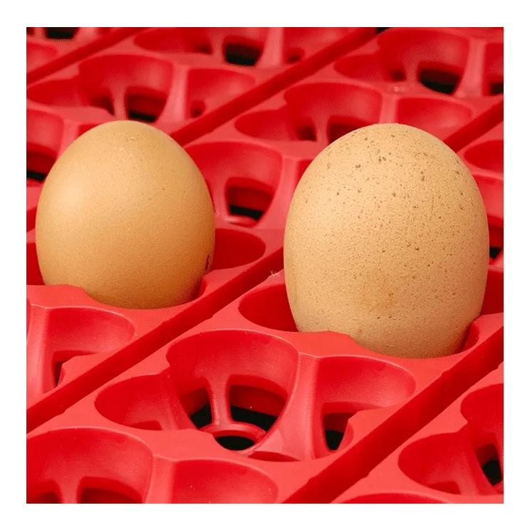 Automatische Brutmaschine Et Super mit Eierwender