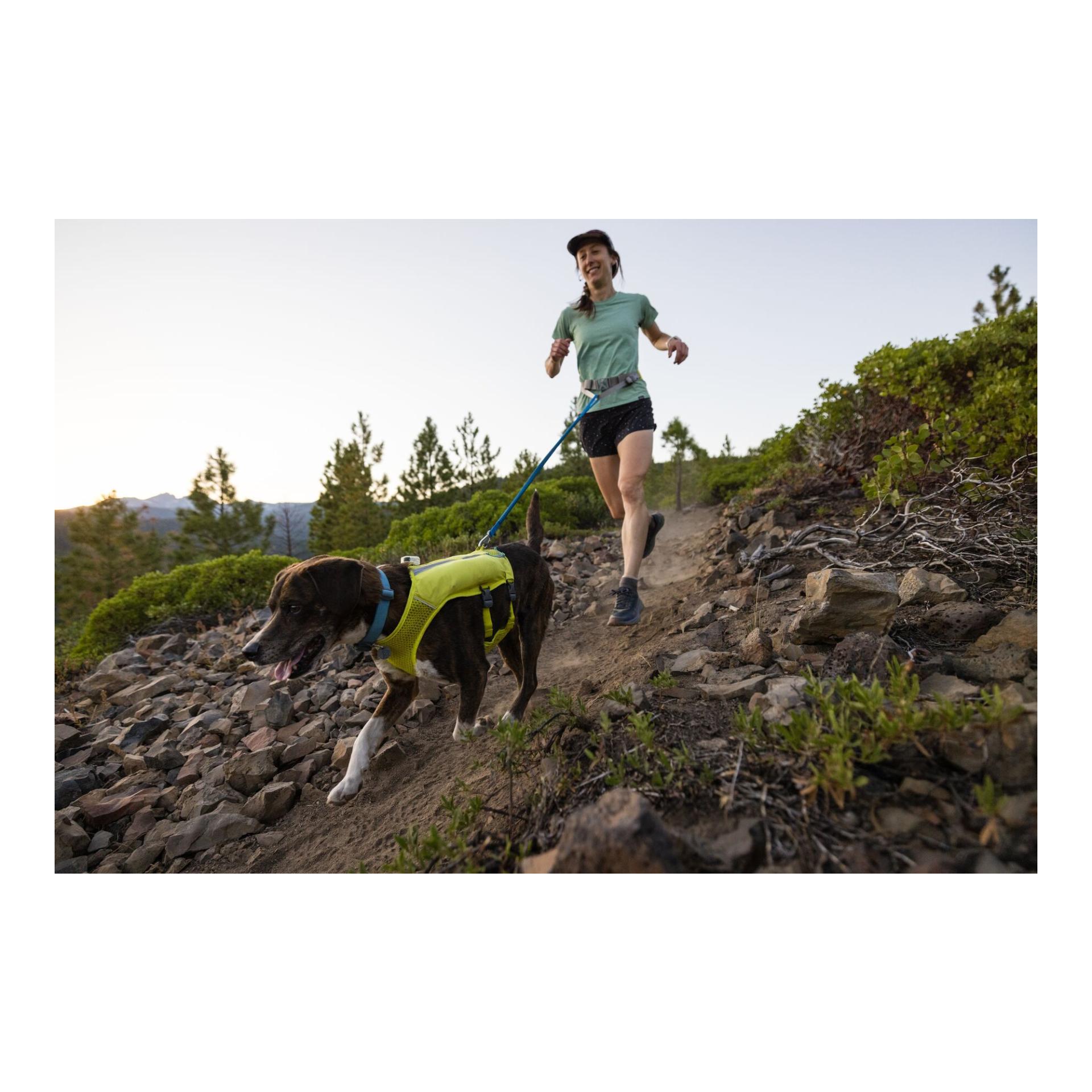 Trail Runner™ Leash Joggingleine