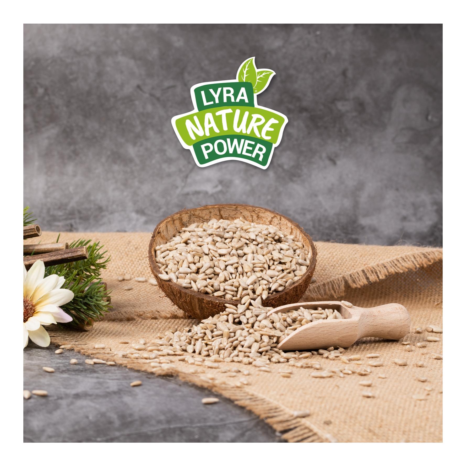 Sonnenblumenkerne geschält