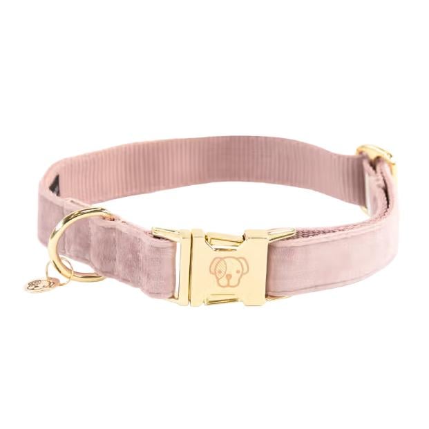 Hundehalsband velvet