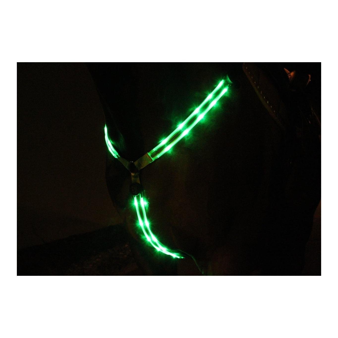 Image of Animal Light LED Leuchtvorgeschirr 2.0 - grün bei Hauptner.ch