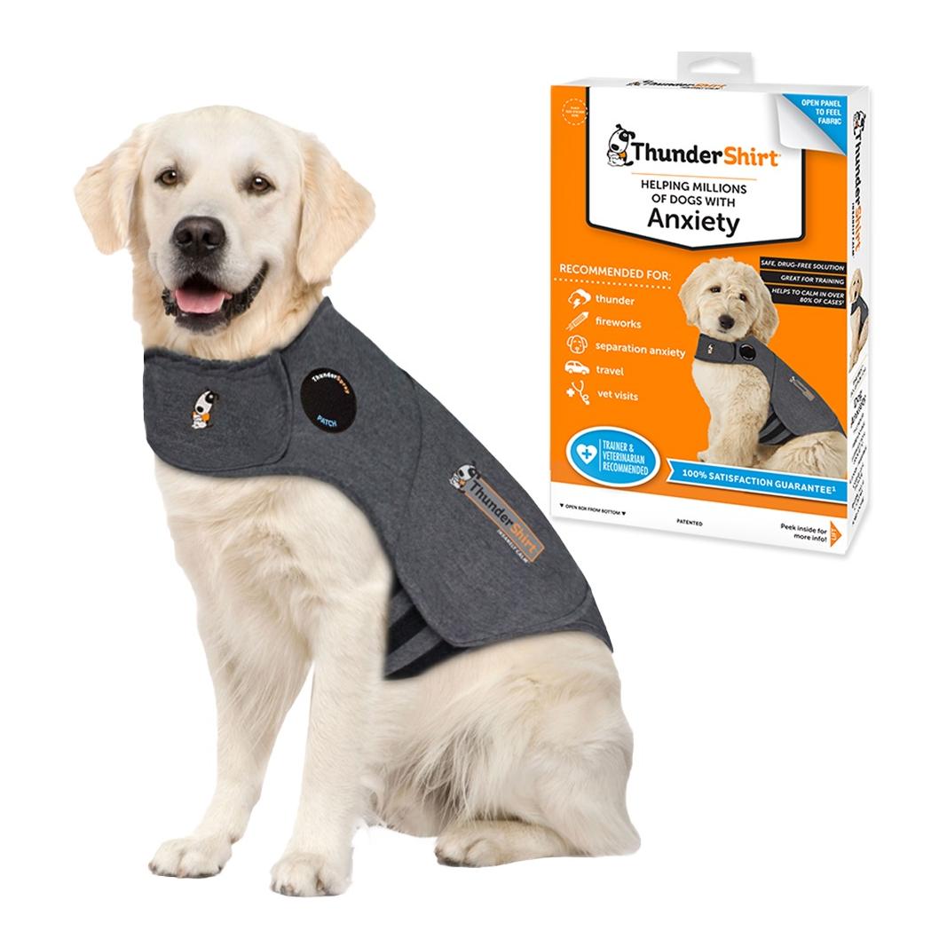 Gilet anti-stress pour chien