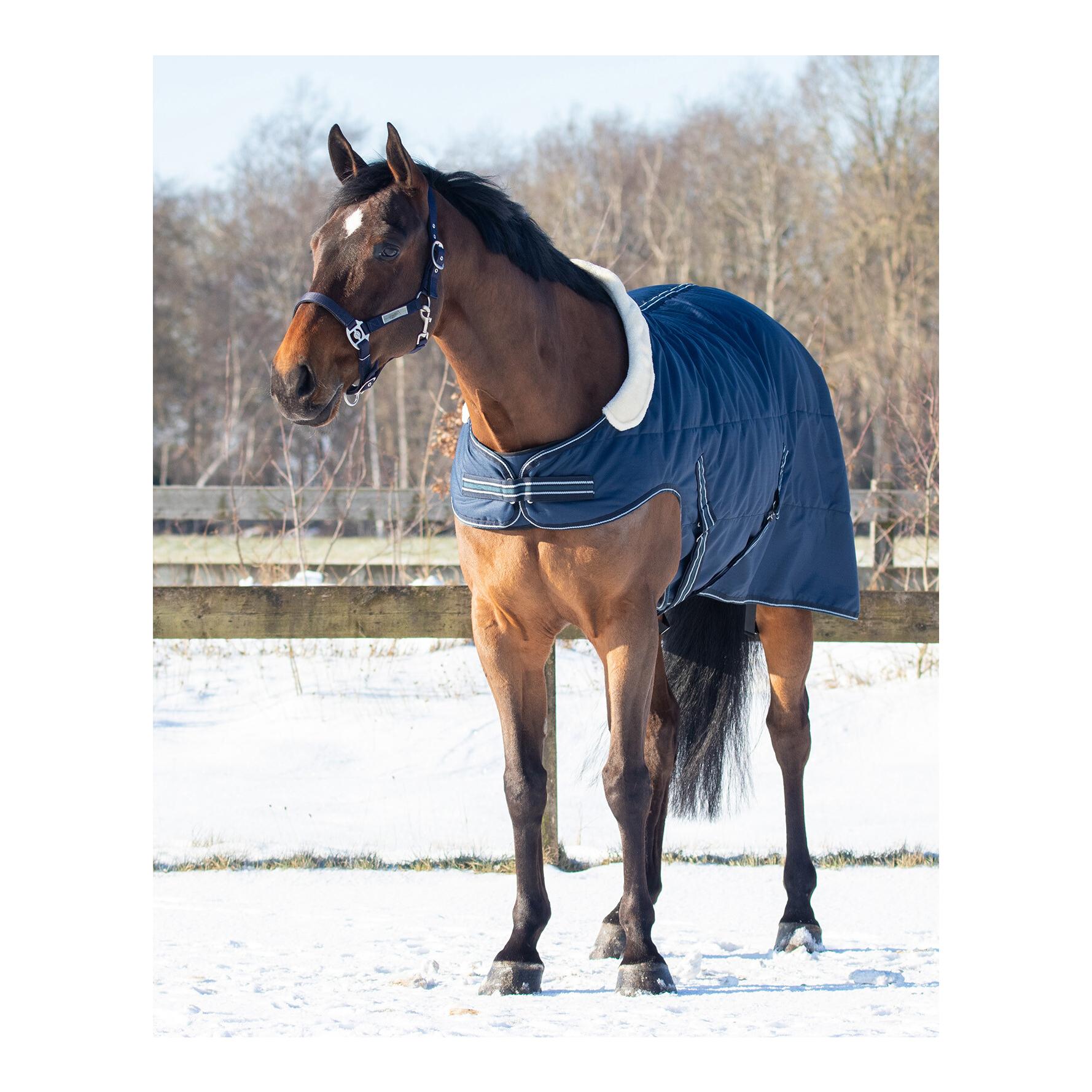 Stalldecke mit Schulterausschnitt 200g