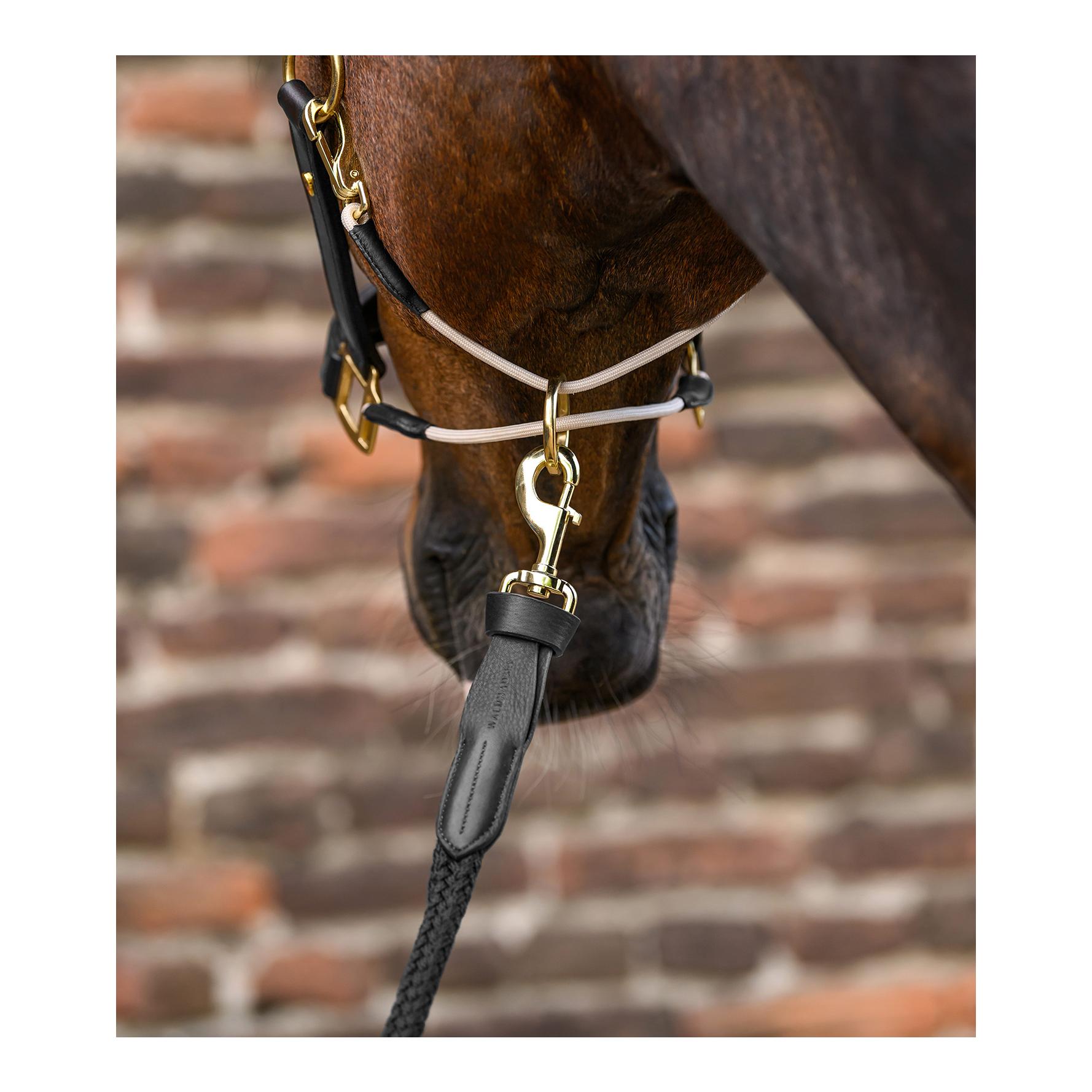 Waldhausen Führstrick Royal Lederdetails mit Karabinerhaken