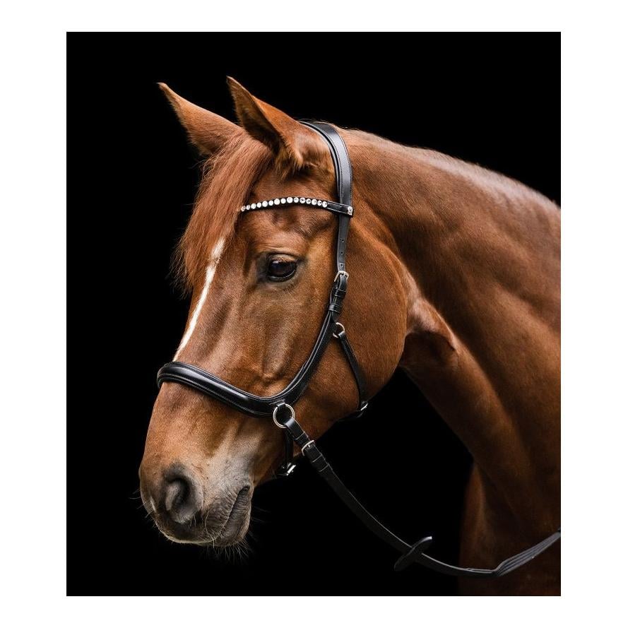 Trensenzaum X-Line Gebisslos Sensation