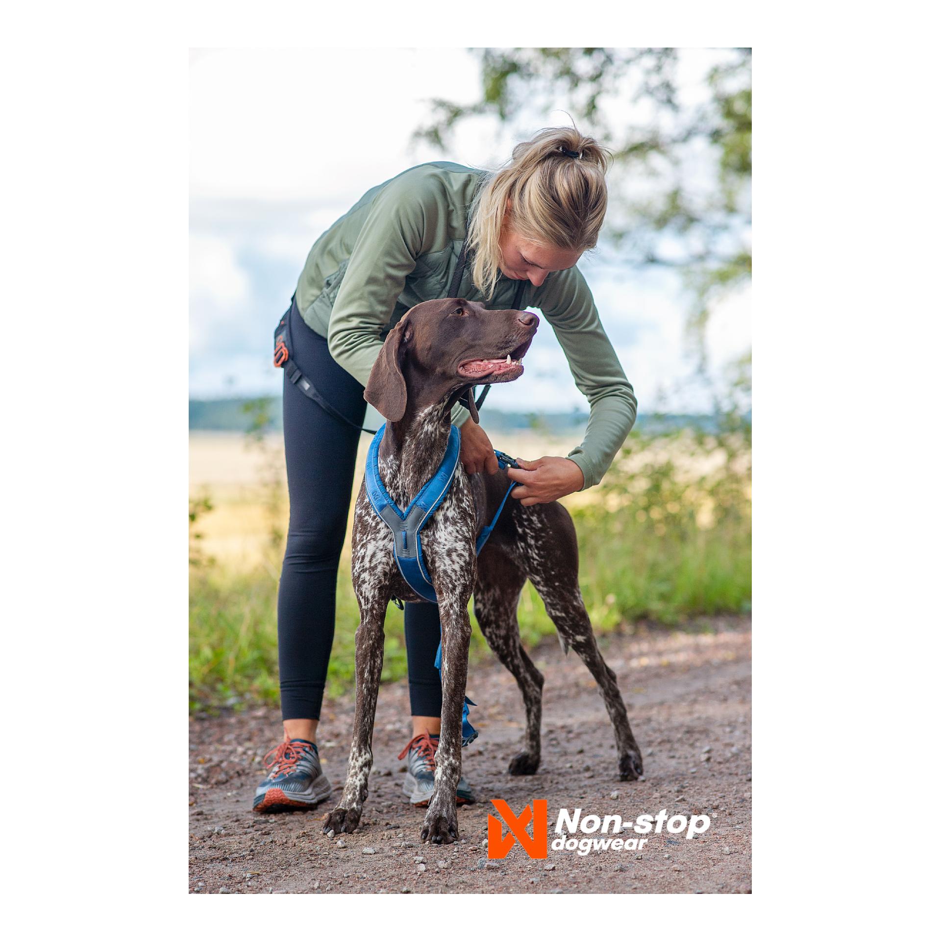 Line Harness 5.0 - blue