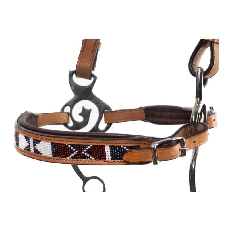 Western Hackamore esprit