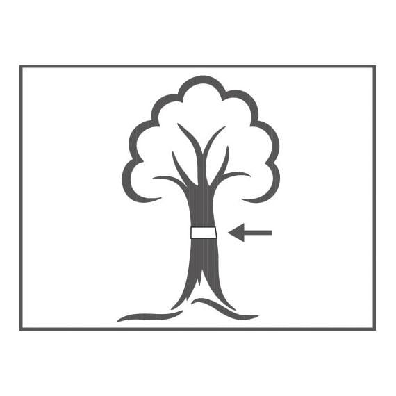 Raupen- und Ameisenleimring